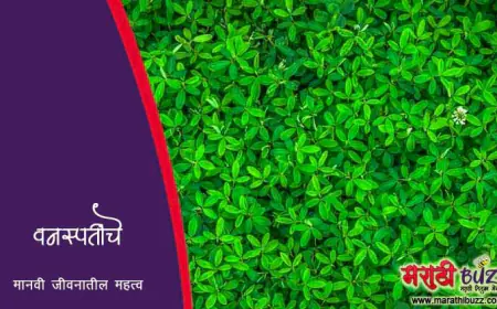 वनस्पतींचे मानवी जीवनातील महत्व