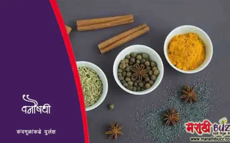 वनौषधी व कंदमुळे
