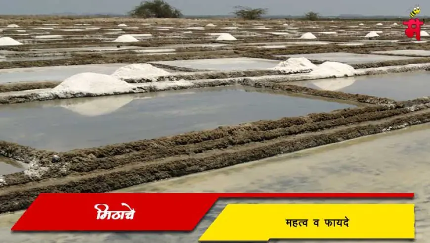 मिठाचे महत्व व फायदे