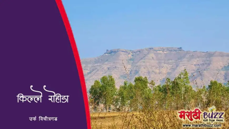 रोहिडा किल्ला अर्थात विचित्रगड