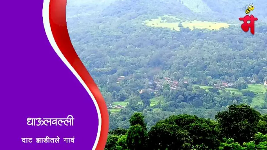 दाट झाडीतले धाऊलवल्ली
