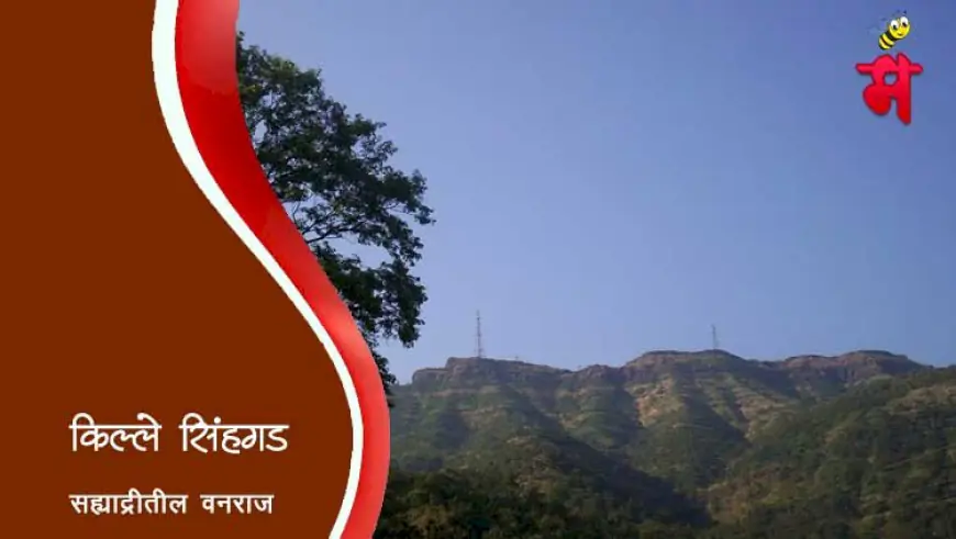 सिंहगड अर्थात कोंढाणा किल्ला: तानाजी मालुसरेंचा पराक्रम आणि शिवरायांचा वारसा