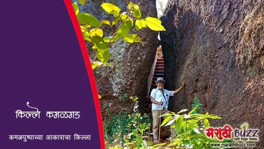 कमळपुष्पाच्या आकाराचा कमळगड