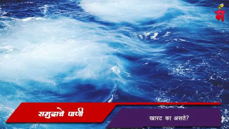 समुद्राचे पाणी खारट का असते? - कारणे, फायदे आणि पर्यावरणीय महत्व