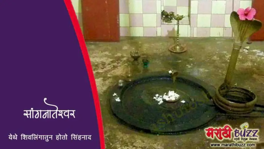 सांगनातेश्वर - येथे शिवलिंगातुन होतो सिंहनाद