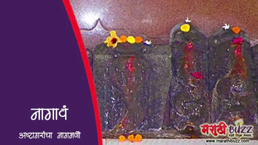 नागाव - रायगड जिल्ह्यातील एक ऐतिहासिक आणि निसर्गरम्य पर्यटनस्थळ