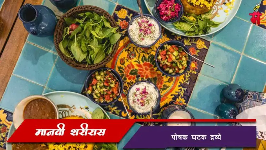 शरीरास पोषक घटक द्रव्ये