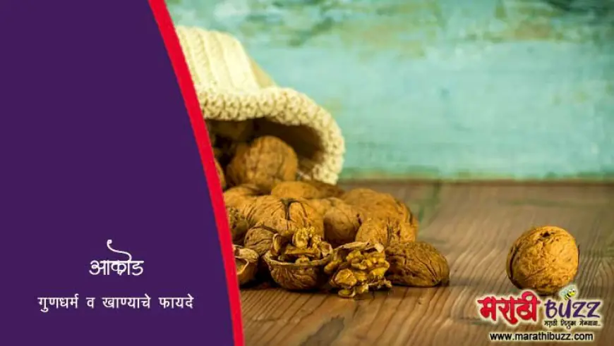 अक्रोड - गुणधर्म व खाण्याचे फायदे