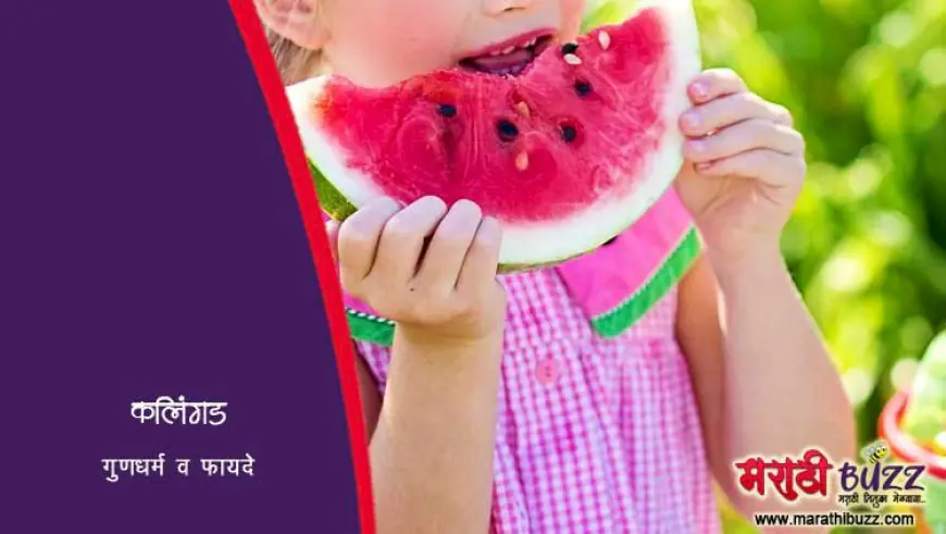 कलिंगड - गुणधर्म व फायदे