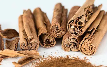 अश्वगंधा चे फायदे – आयुर्वेदातील अमूल्य औषधी