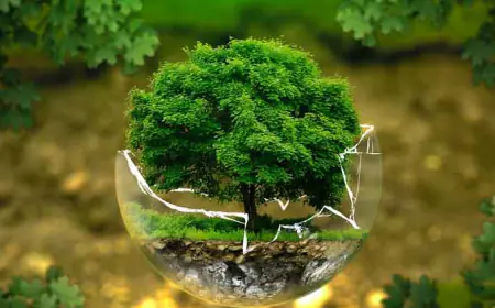 वातावरण म्हणजे काय? | What is Environment in Marathi