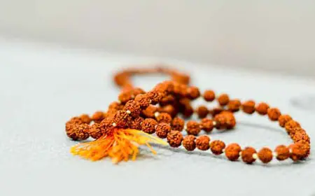 रुद्राक्षांची माहिती व प्रकार