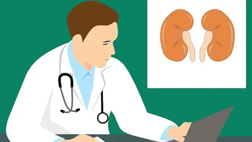 किडनी खराब कशामुळे होते? | Kidney Disease Causes in Marathi