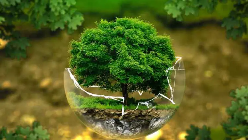 वातावरण म्हणजे काय? | What is Environment in Marathi