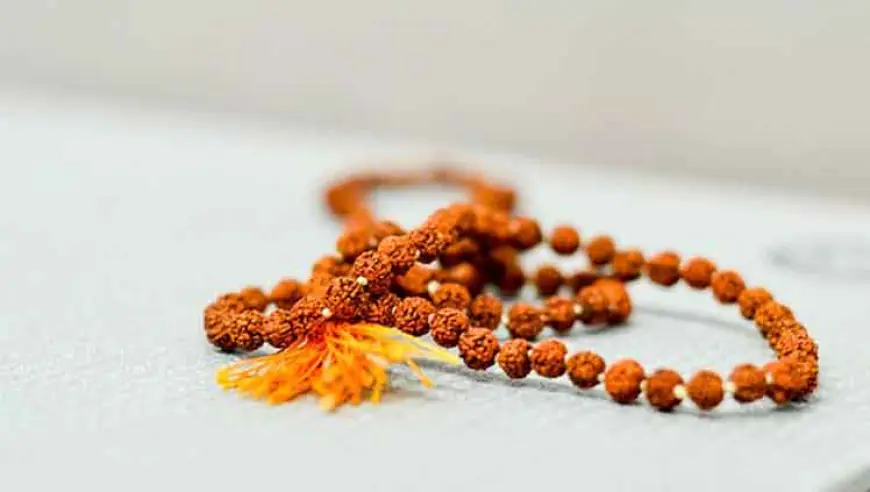 रुद्राक्षांची माहिती व प्रकार