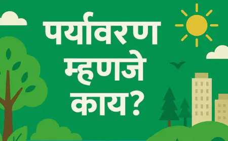 पर्यावरण म्हणजे काय? - एक सखोल आणि समग्र दृष्टिकोन