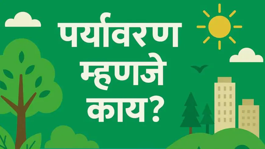 पर्यावरण म्हणजे काय? - एक सखोल आणि समग्र दृष्टिकोन